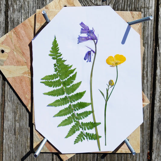 DIY Flower Press